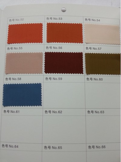 GZ- LEEN  C65% T35% L58025 細節-1